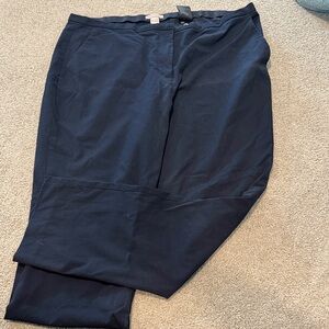 H&M Midnight Blue Pants